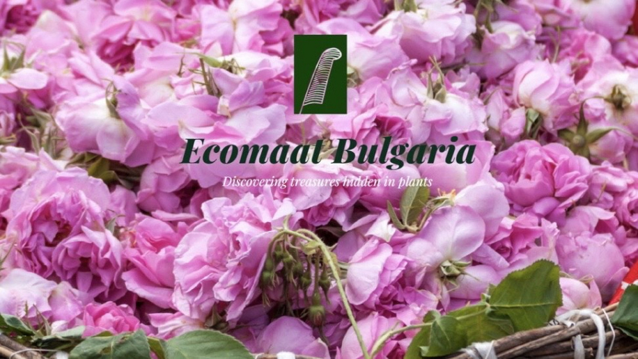 【Be Organic】ブルガリアの大地が育んだ100%オーガニックのスキンケアブランド『ECOMAAT（エコマット）』発売中